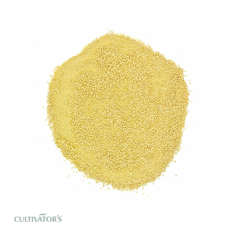 Organic Shatavari Root Granules