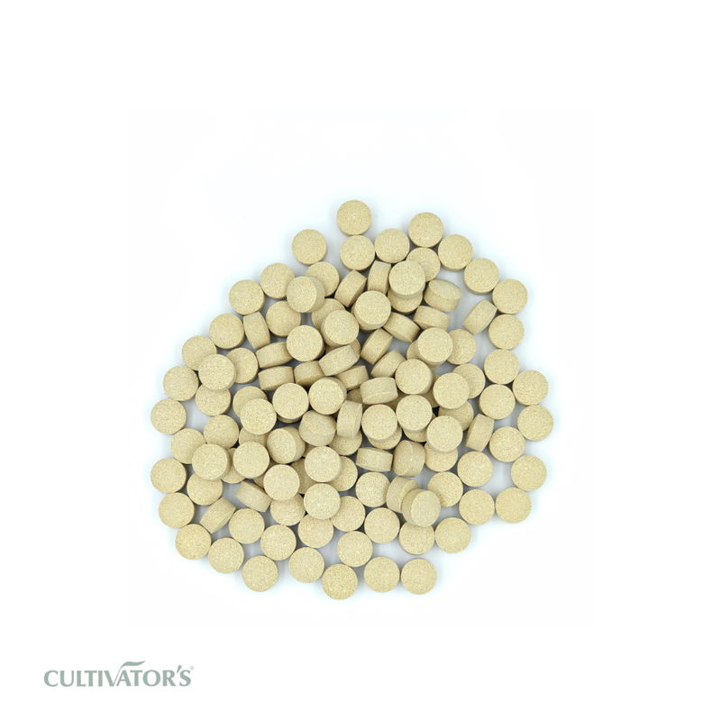 Organic Trigonella foenum-graecum Tablet