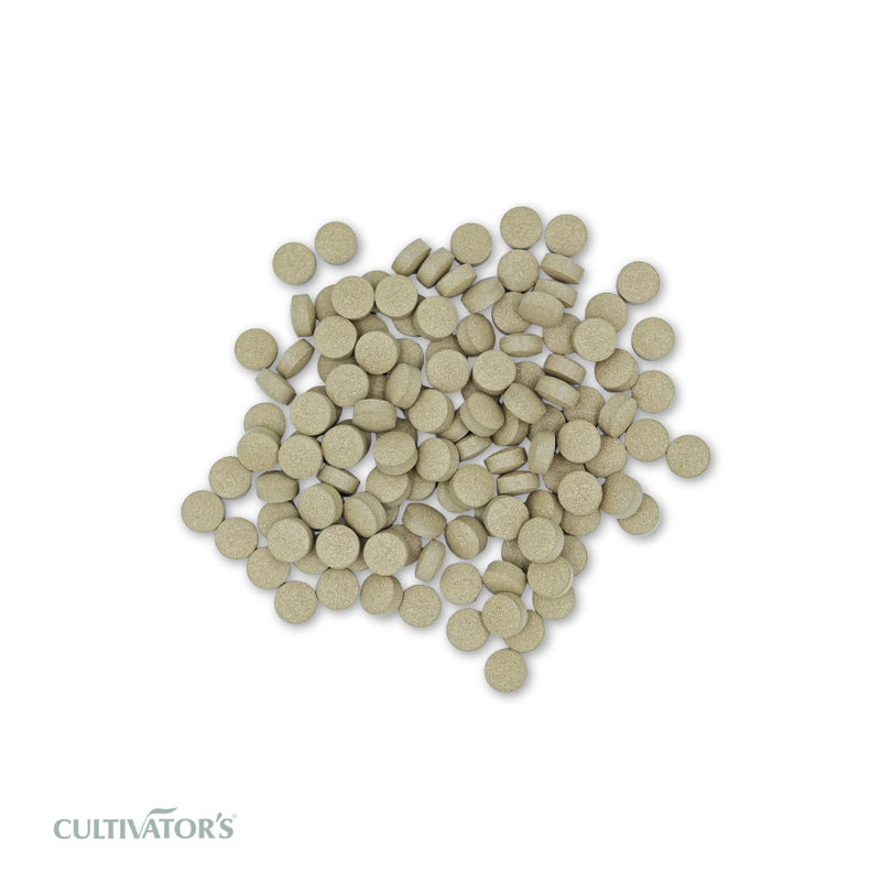 Organic Bacopa monnieri Tablet