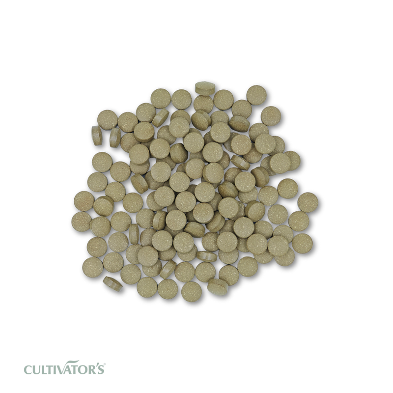Organic Vana tulsi Tablet