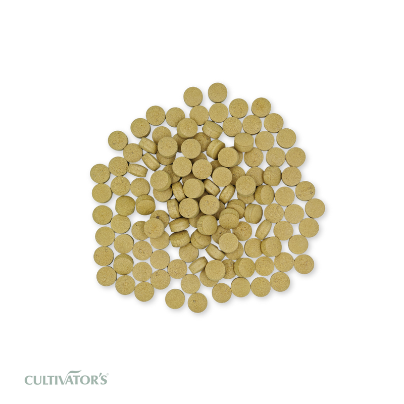 Organic Detox Tablet