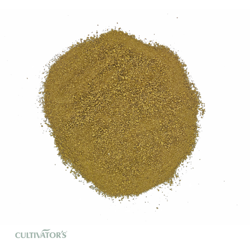 Organic Krishna Tulsi Leaves Granules