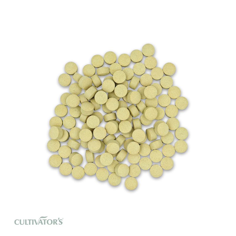 Organic Matricaria chamomilla Tablet