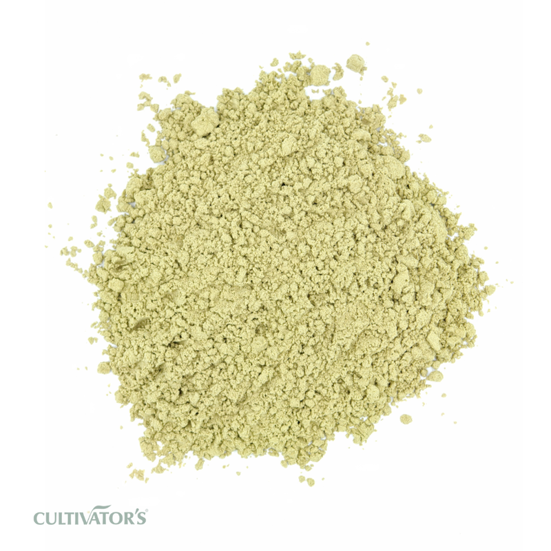 Organic Kantakari Plant Powder