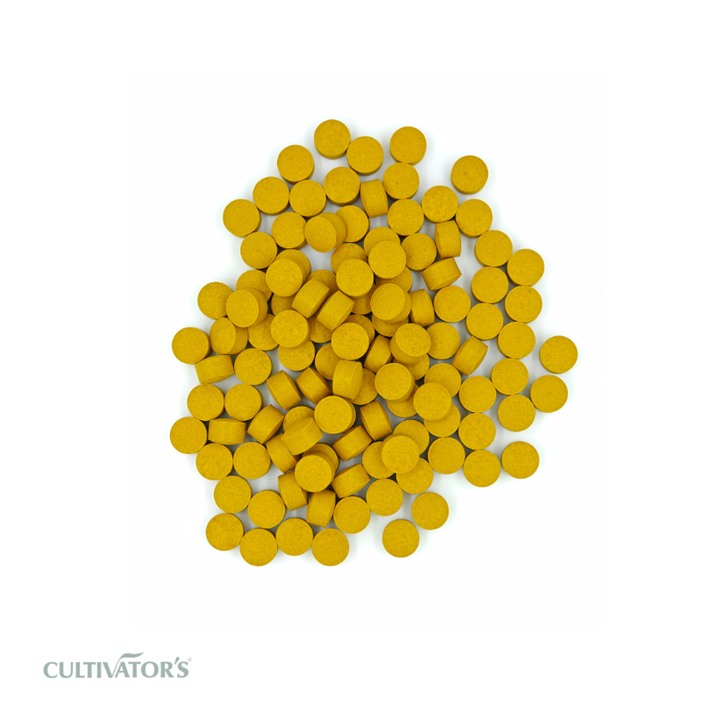 Organic Curcuma longa Tablet