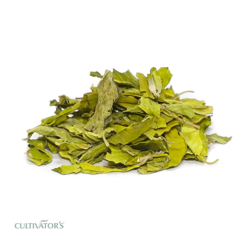 Organic Vasaka leaves