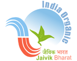 Certification Icon