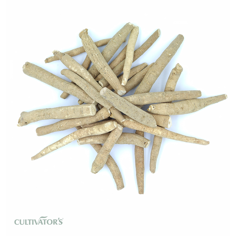 Organic Ashwagandha Roots