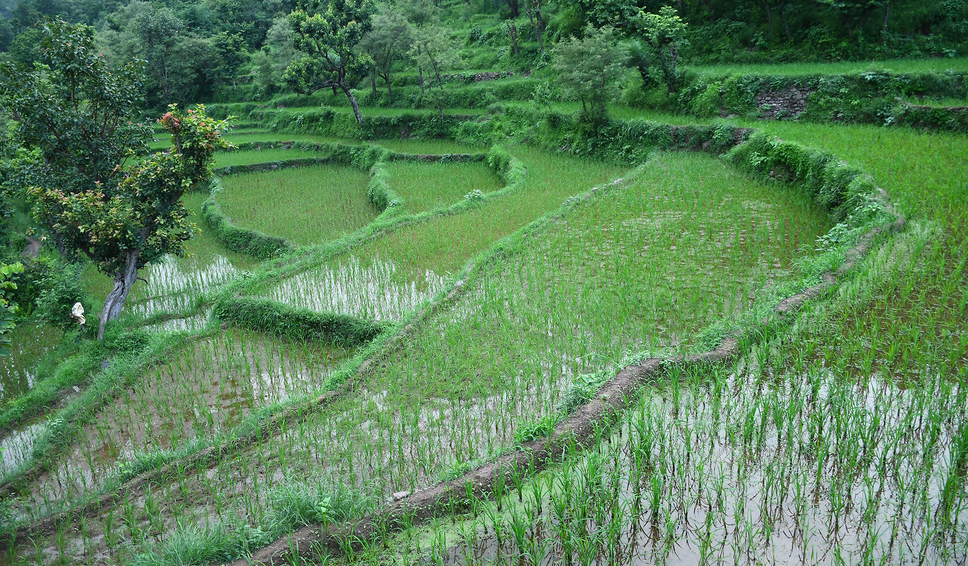 Where Nature and  Humanity Grow  Together