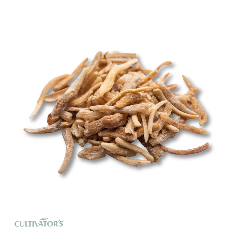 Organic Safed Musli
