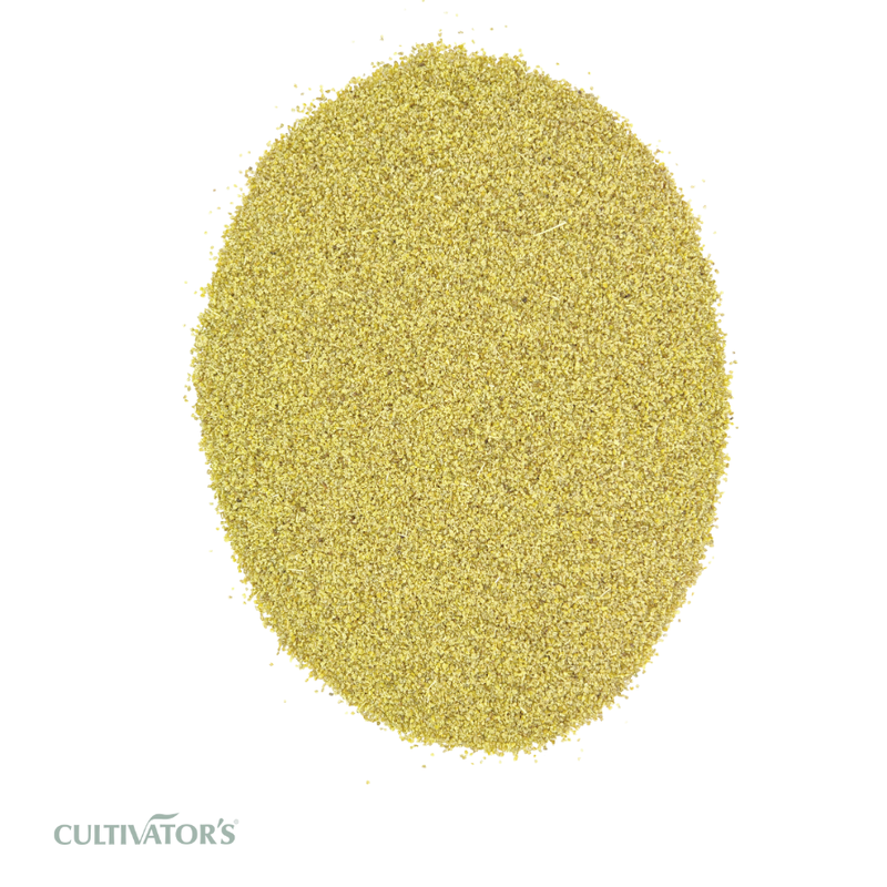 Organic Fennel Seed Powder